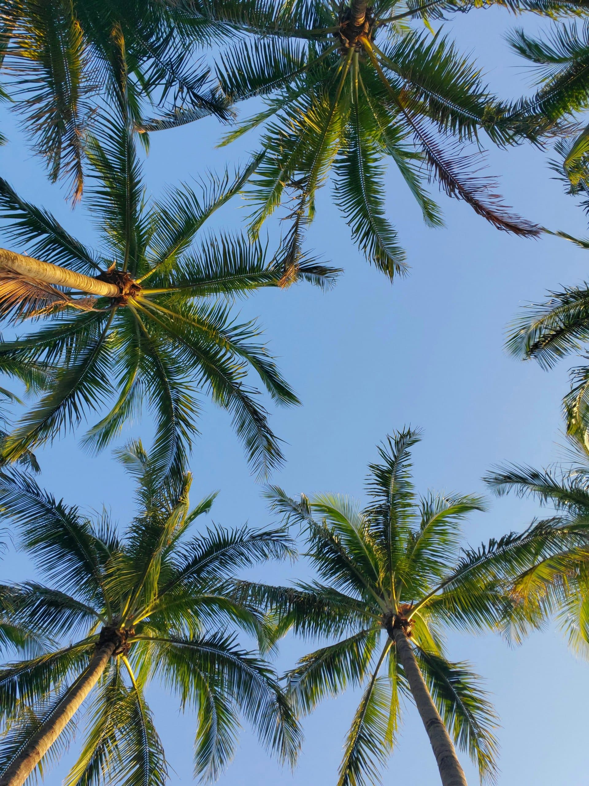 Autumn kuney S 1tR8UxTic unsplash